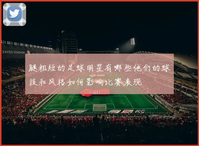 腿粗短的足球明星有哪些他们的球技和风格如何影响比赛表现