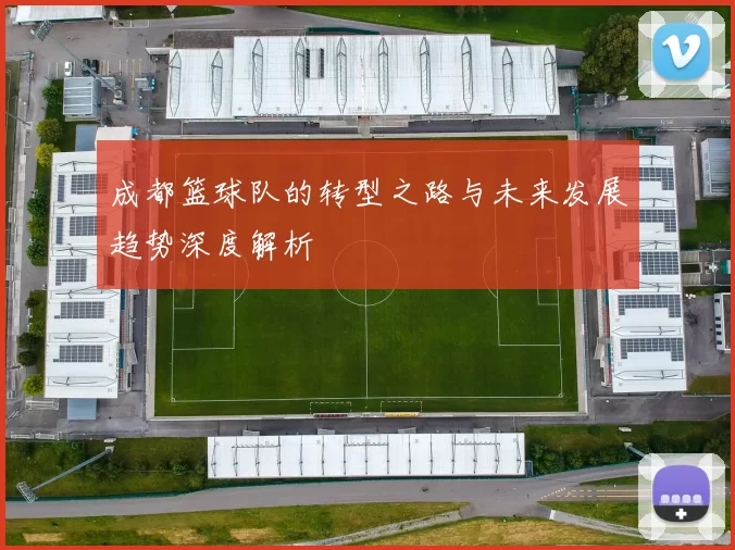 成都篮球队的转型之路与未来发展趋势深度解析