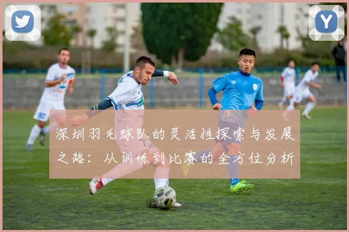 深圳羽毛球队的灵活性探索与发展之路：从训练到比赛的全方位分析