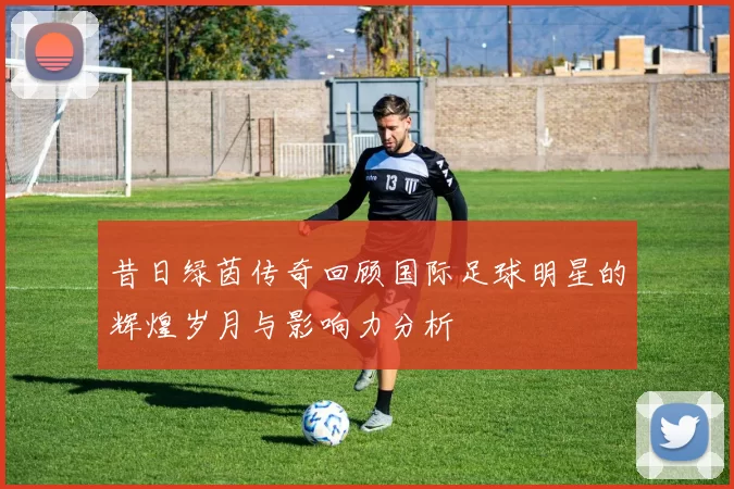 昔日绿茵传奇回顾国际足球明星的辉煌岁月与影响力分析