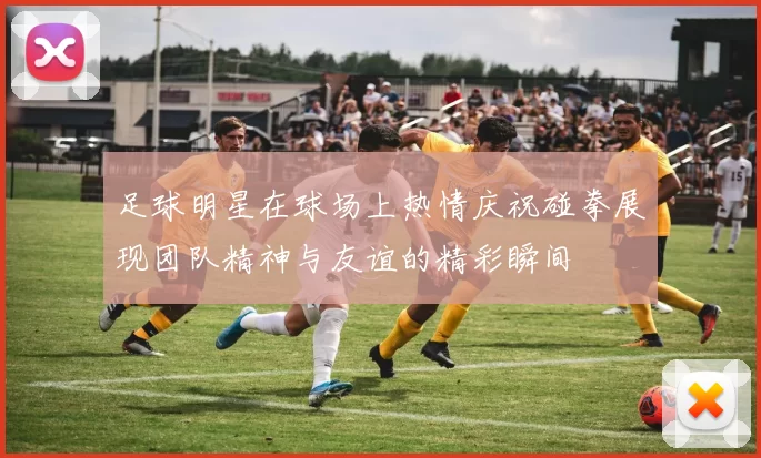 足球明星在球场上热情庆祝碰拳展现团队精神与友谊的精彩瞬间