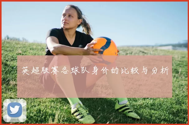 英超联赛各球队身价的比较与分析