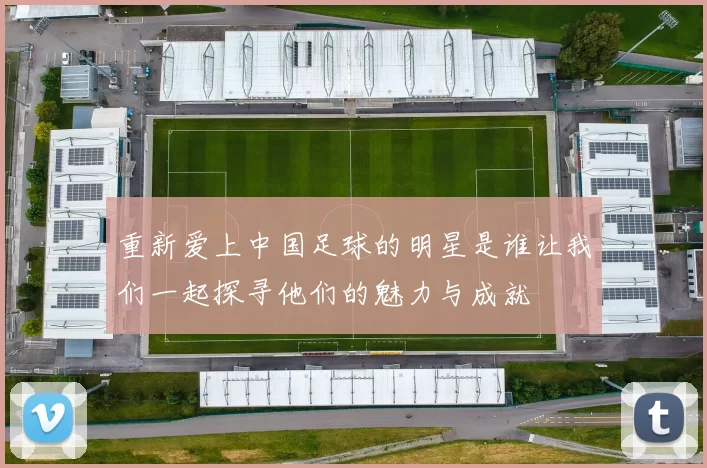 重新爱上中国足球的明星是谁让我们一起探寻他们的魅力与成就
