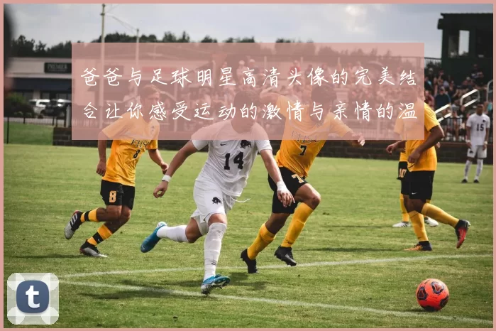 爸爸与足球明星高清头像的完美结合让你感受运动的激情与亲情的温暖