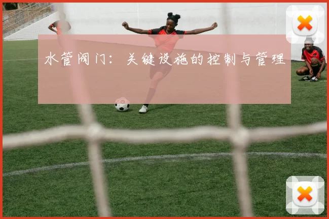 水管阀门：关键设施的控制与管理