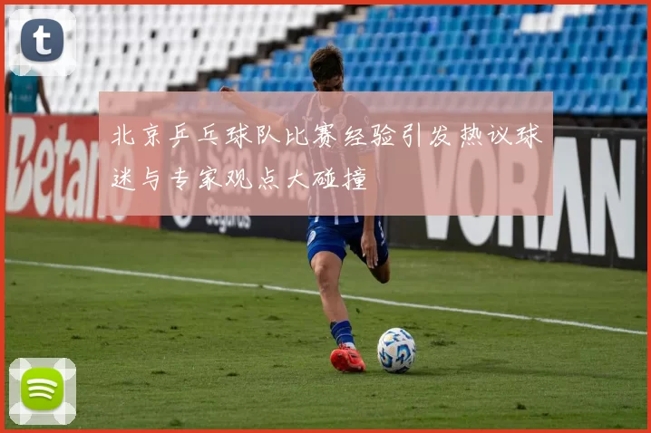 北京乒乓球队比赛经验引发热议球迷与专家观点大碰撞