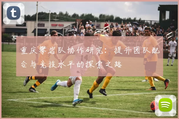 重庆攀岩队协作研究：提升团队配合与竞技水平的探索之路