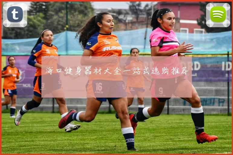海口健身器材大全一站式选购推荐
