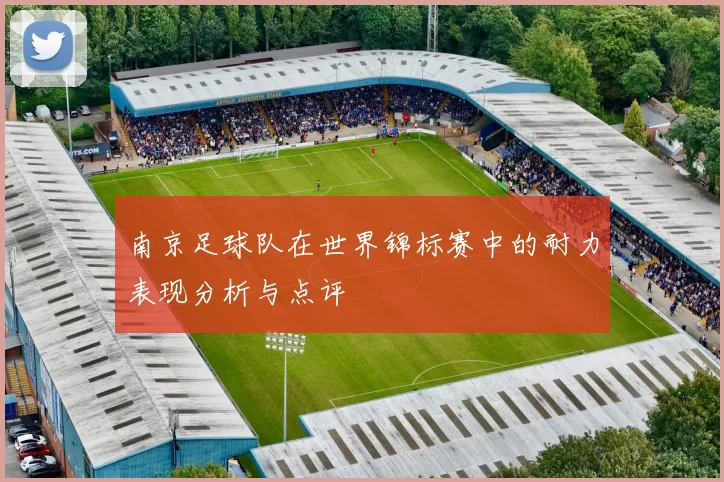 南京足球队在世界锦标赛中的耐力表现分析与点评