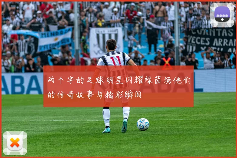 两个字的足球明星闪耀绿茵场他们的传奇故事与精彩瞬间