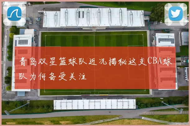青岛双星篮球队近况揭秘这支CBA球队为何备受关注