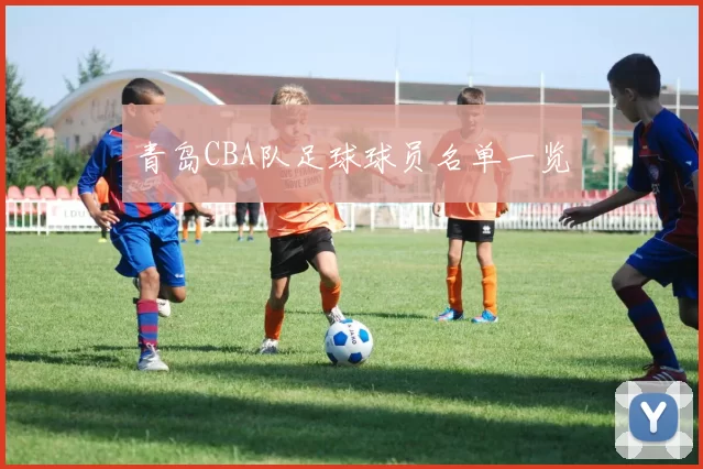 青岛CBA队足球球员名单一览