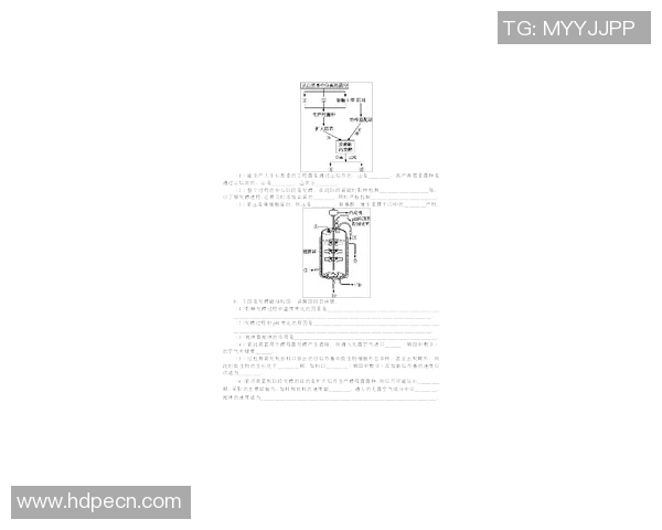 蝶泳技术解析与训练方法探索提升运动表现的科学路径